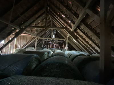 Bild 42 aus  Andrella Auszeithof