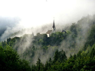 Bild 68 aus Bauernhof Wernhof