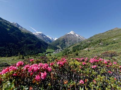 Bild 61 aus  Landhaus Martinus