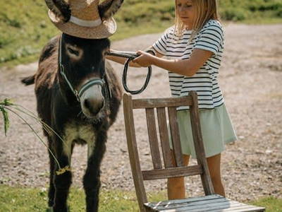 Bild 43 aus  Untersüssgut