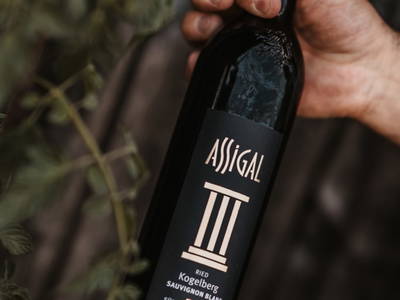 Bild 29 aus  Weingut Assigal