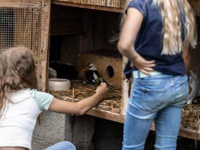 Bild 15 aus  Ferienhof Jakob, Rohrhof