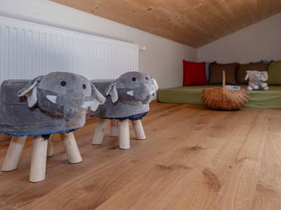 Bild 60 aus  Pleschinhof