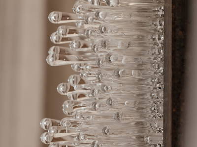 Bild 35 aus  Refugien Am WILDBACHBERG