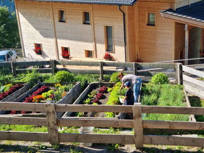 Bild 98 aus  Mortnerhof