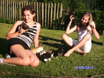 Bild 17 aus  Wratschnighof