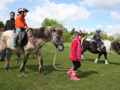 Kostenfreies Ponyführen