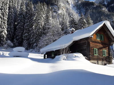 Bild 13 aus  Waldhäuslhütte