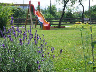 Bild 47 aus  Bauernhof Hofmayer