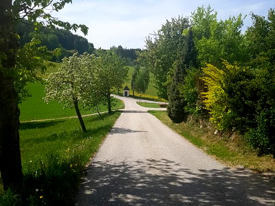 Bild 10 aus Biobauernhof Leitner Zizlbauer