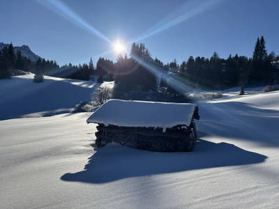 Bild 141 aus Riatschhof
