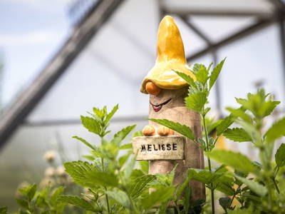 Bild 77 aus  Pointbauer