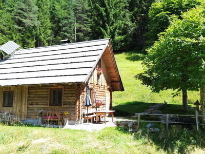 Bild 65 aus  Almhütte Meierle