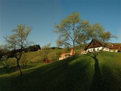 Bild 36 aus Attersee - Ferienhof Margarethengut - Salzkammergut