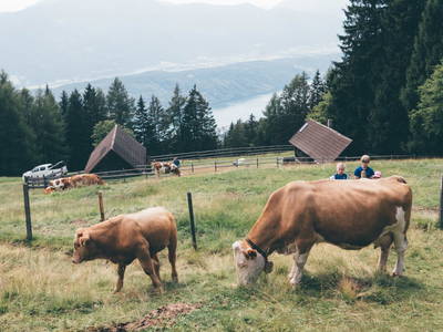 Bild 33 aus  Götzfried Almhütte