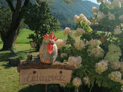 Bild 50 aus Bio-Bauernhof Vordergschwandtgut