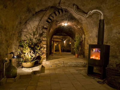 Bild 20 aus  Winzerhof Küssler, Weinviertel