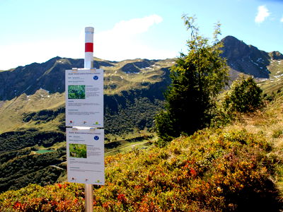 Bild 52 aus Berghof Burtscher