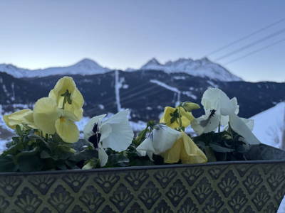 Bild 134 aus Riatschhof
