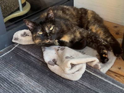 Bild 91 aus  Spöttlinghof