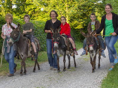 Bild 27 aus  Bauernhof Perhinig