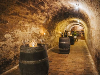 Bild 303 aus  Winzerhof Küssler, Weinviertel