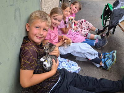 Junge Kätzchen soo knuddelig