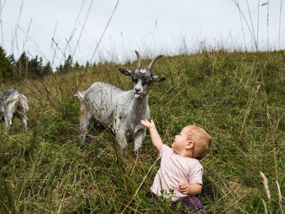 Bild 60 aus  Chalet Jochwand