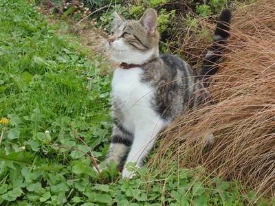 Bild 18 aus  Schmankerl und Gast Heiderer