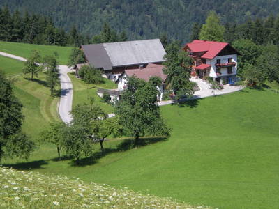 Bild 6 aus  Salcheck