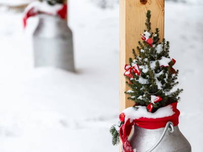 Bild 53 aus  Biohof Greflgut