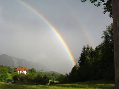 Bild 15 aus  Pirkerhof