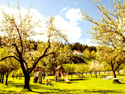 Bild 107 aus Pension Zechnerhof