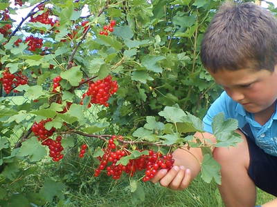 Bild 35 aus  Weidinghof