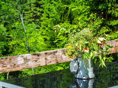 Bild 43 aus  Almhütte Auszeit 