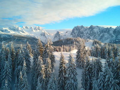 Bild 61 aus  Höllhof