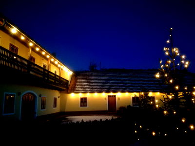 Bild 13 aus Blumentalhof