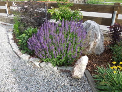 Bild 31 aus  Kinderbauernhof Albeineler Pitztal Tirol