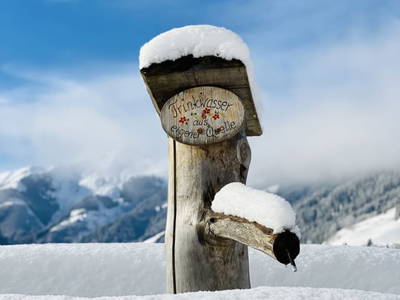 Bild 126 aus  Ederbauer