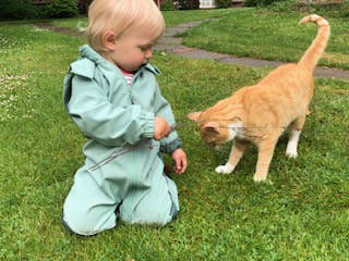 Bild 20 aus  ELBMARSCHEN BAUERNHOF Olde