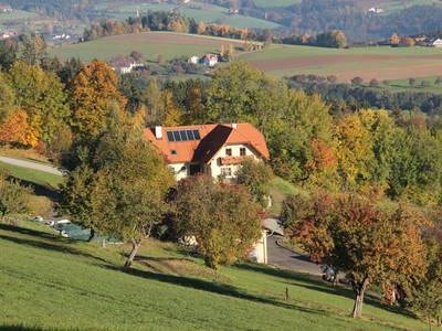 Bild 2 aus  Bauernhof Seppl am Berg