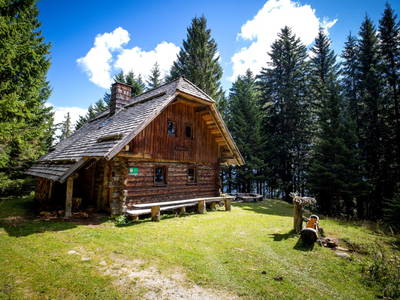 Bild 239 aus  Bischofhütten