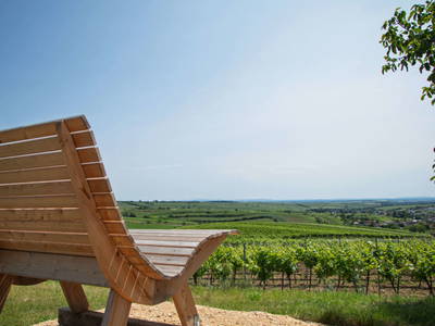 Bild 16 aus  Rebenhof