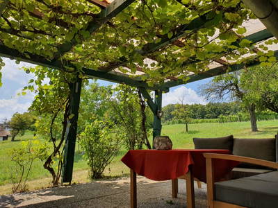 Bild 44 aus  Susi's Kellerstöckl