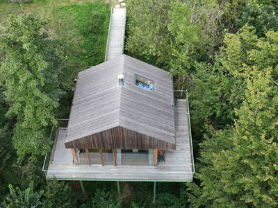 Bild 2 aus  Baumhaus Buchengrün