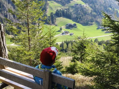 Bild 9 aus  Plonerhof
