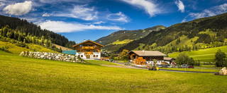 Alpakahof  Unterrain aus Kleinarl