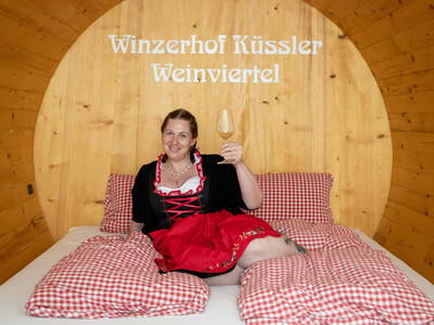 Bild 344 aus  Winzerhof Küssler, Weinviertel