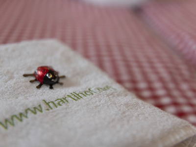 Bild 117 aus  Hartlhof Urlaub am Baby- und Kinderbauernhof