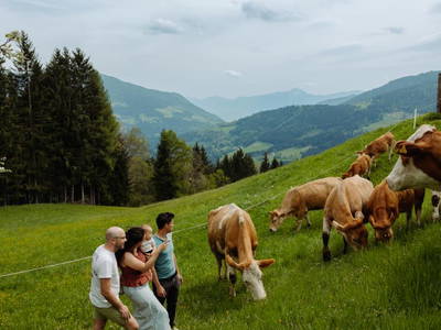 Bild 51 aus  Pirkerhof